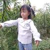 anindira8877