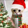 jairus_delan