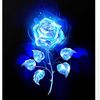 destiny_roses