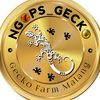 ngops_gecko