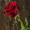 dlawer.bkr