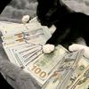 money_cat22