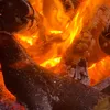 rezhwantaha6
