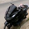 pcxrex