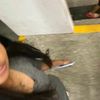 saorirosrd