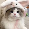 nekochankawaii176