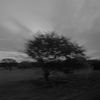 kingkunfiltered