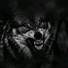 _boz_canavar_1