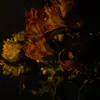 nikismit_21
