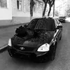 dior_ik88