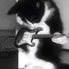 🎸☆aili☆🎸