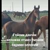 uzgyn_44