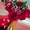 sophieonlinestorellc