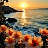 olga_888_com
