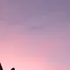 rita_26320
