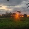 rodrigo_slmi
