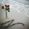 nadiaassis377