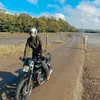 si_gubbin