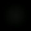 davpp0819