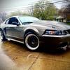 mustang_gang_gt