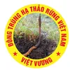 Đông trùng rừng VN