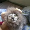 graygraymeow