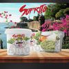sofritodonajito