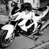 dagroove79