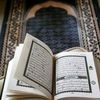 hodamohamed9666