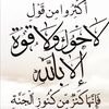 abo_badr1113