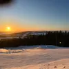 oskar4008