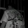 _gustazw