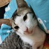 mozza_338