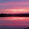 huenguyen33085