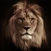 thefatking1