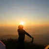 bunga_ilalang3