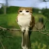 userx8yme1fr0f