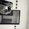 lenixv1