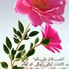 usebarkat.baloch