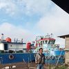 darmin.darmin72