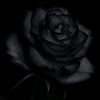 mariam31375