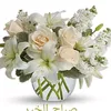 user8ali82066