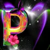 pilicano66
