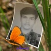 abulhossain6668