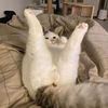 小彤ど⁰̷̴͈꒨⁰̷̴͈う♡