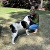 furbabyfriends1