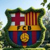 fethallahbarca