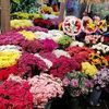 om_suhayb.0