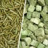 qualityanimalfood