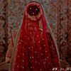 mdmamunahmed3665